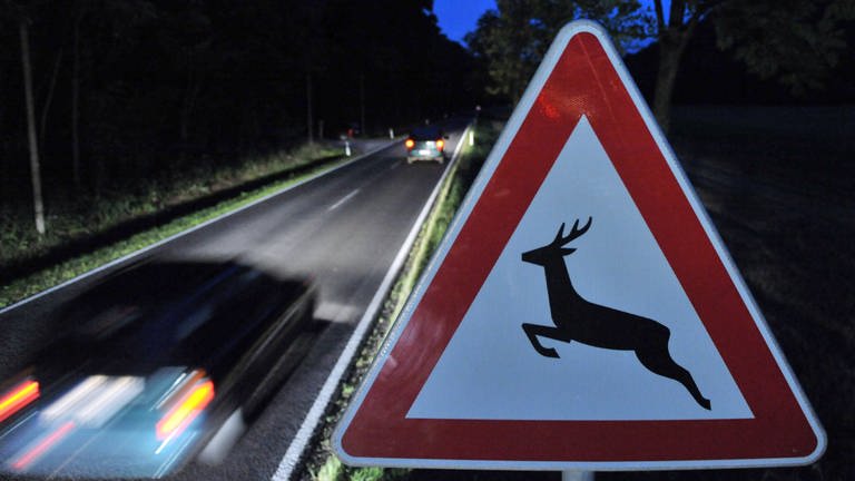 Ein Verkehrsschild warnt vor Wildwechsel. (Foto: dpa Bildfunk, Martin Schutt)