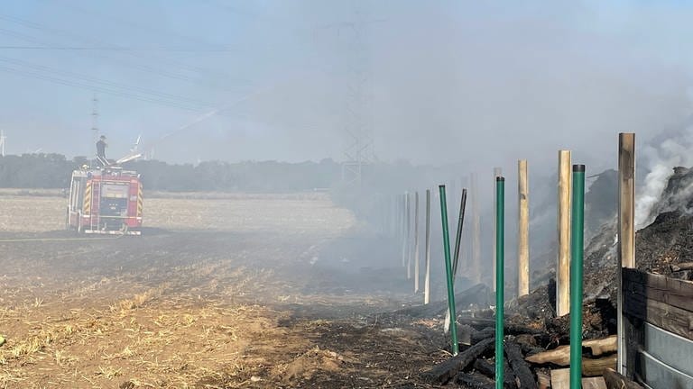 Feuerwehr löscht Brand einer Kompostanlage in Worms (Foto: SWR)