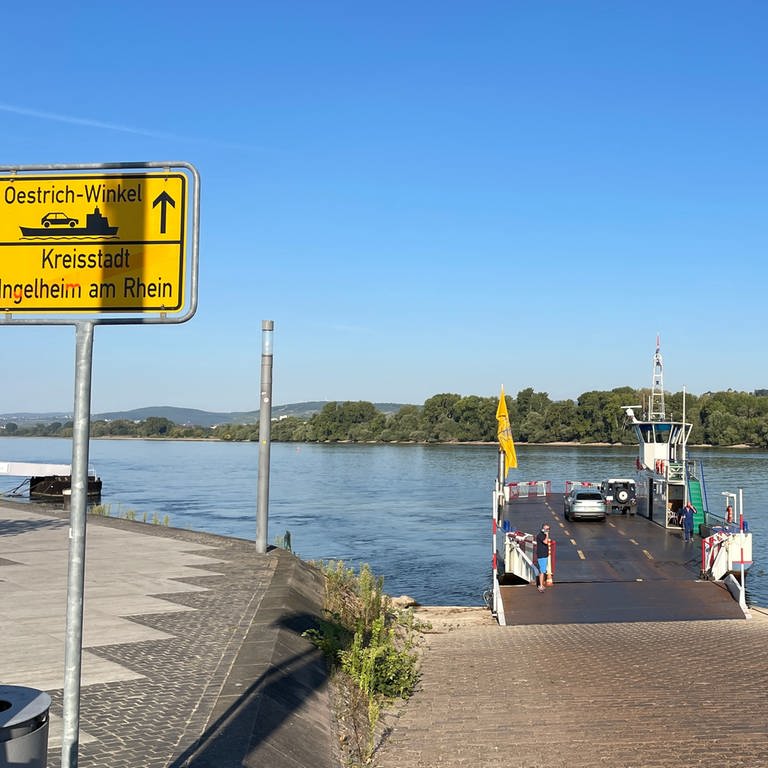Die Rheinfähre von Niederheimbach fährt jetzt vorübergehend zwischen Ingelheim und Oestrich-Winkel (Foto: SWR, Judith Seitz)