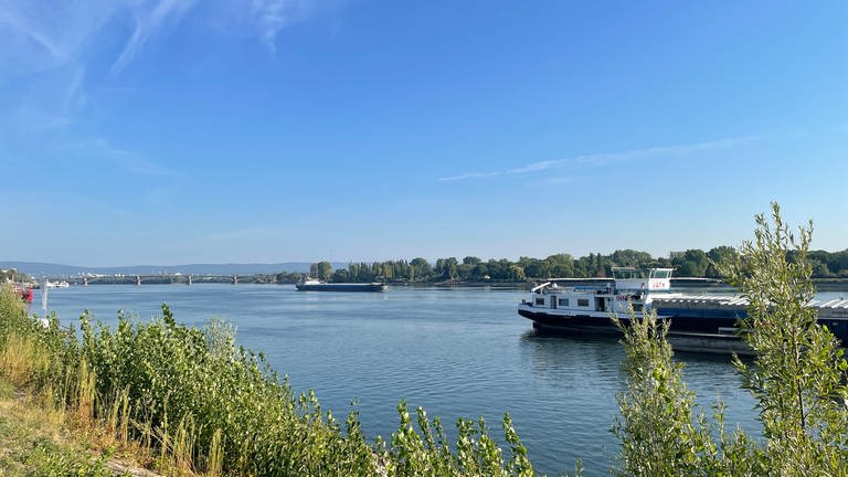 Am Sonntag, 14.8.22 fahren auf dem Rhein in mainz noch Binnenschiffe. Und das obwohl überall im Rheintal Niedrigwasser herrscht. (Foto: SWR, C. Lutz)