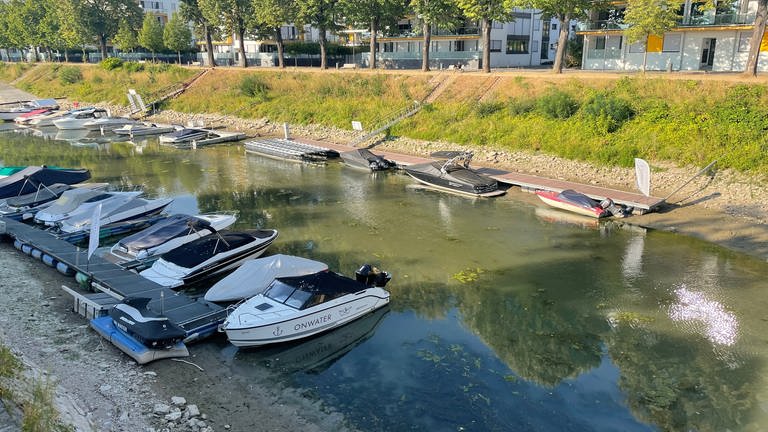 Sportboote liegen an den Anlegeplätzen im Mainzer Winterhafen, es ist kaum noch Wasser im Hafenbecken