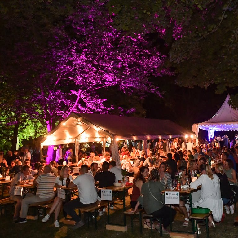 Auf dem Weinmarkt im Mainzer Stadtpark ist es abends besonders schön. Dann kann man unter Lichterketten rheinhessische Weine probieren. (Foto: mainzplus CITYMARKETING )