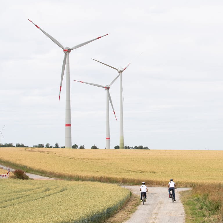 Mehrere Windräder stehen in einem Weizenfeld (Foto: picture-alliance / Reportdienste, picture alliance/dpa | Friso Gentsch)