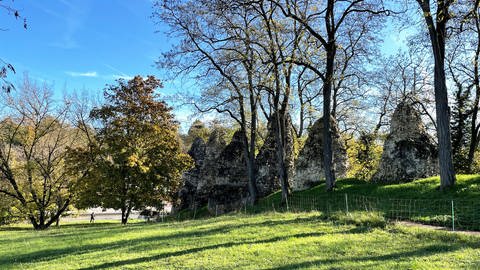 Die Römersteine im Zahlbachtal stammen von einer römischen Wasserleitung, einem sogenannten Aquädukt. (Foto: SWR, Daniel Brusch)