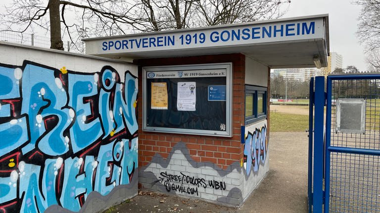 Der SV Gonsenheim aus Mainz kooperiert mit Eintracht Frankfurt. (Foto: SWR, Golo Schlenk)