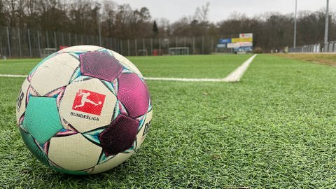 Der SV Gonsenheim kooperiert im Jugendbereich mit Fußball-Bundesligist Eintracht Frankfurt. (Foto: SWR, Golo Schlenk)