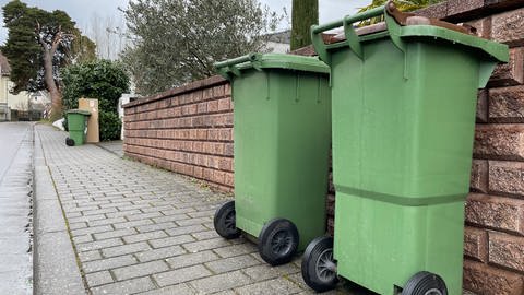 Auch in Mainz-Gonsenheim wird der Müll wegen eines Streiks beim Entsorgungsbetrieb nicht abgeholt. (Foto: SWR, Golo Schlenk)