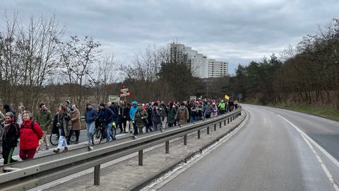 Naturschützer vom "Kolibri-Kollektiv" laufen am Sonntag über die A643, um das angrenzende Naturschutzgebiet Mainzer Sand zu verteidigen. Bei einem sechsspurigen Ausbau der Autobahn würden seltene Arten bedroht. 