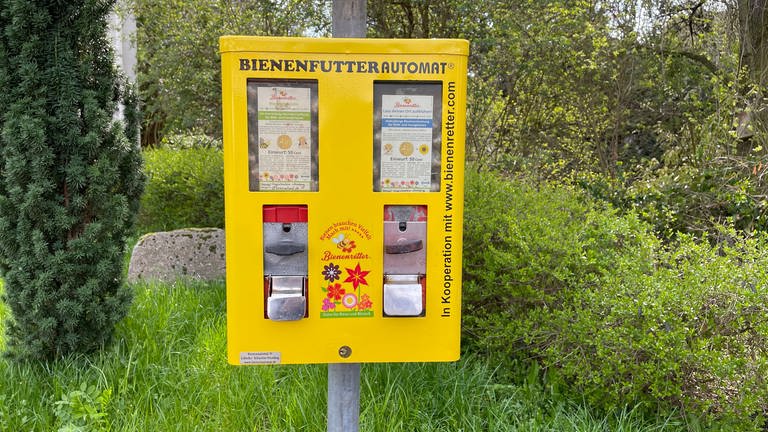 Blumensamen statt Kaugummis - Der neue, gelbe Bienenfutterautomat von Langenlonsheim soll gegen das Insektensterben helfen (Foto: SWR)