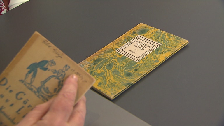 Bücher aus der Bibliothek des von den Nazis ermordeten Mainzer Teppichhändlers Felix Ganz  (Foto: SWR)