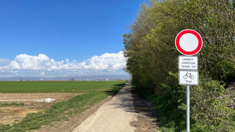 Hier ist die Durchfahrt für alle Fahrzeugarten verboten. Ausnahmen: Landwirtschaftlicher Verkehr und Fahrräder  (Foto: SWR, Daniel Brusch)