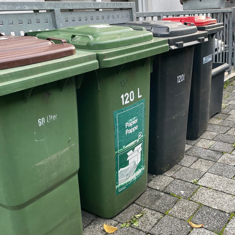 Verschiedene Mülltonnen stehen vor einem Grundstück in Mainz. (Foto: SWR, Christiane Spohn)