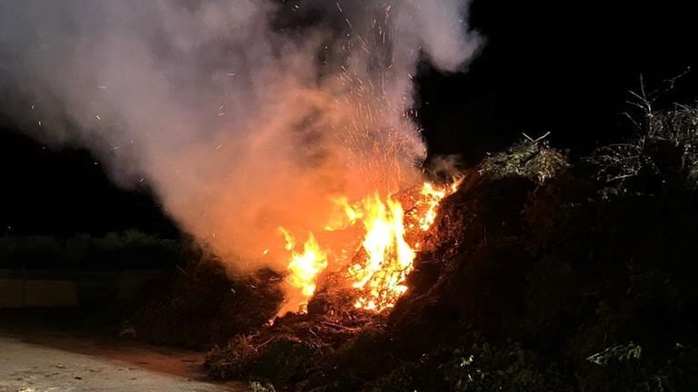 Ein großer Haufen Grünschnitt brennt in der Nacht auf der Kompostanlage. (Foto: Pressestelle, Feuerwehr Worms)