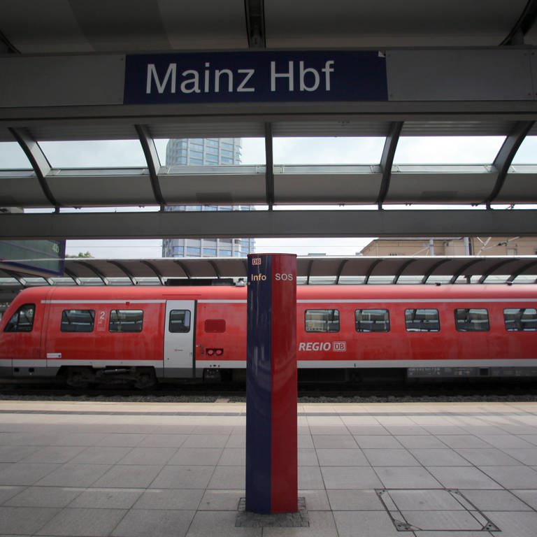 Zugverkehr am Mainzer Hauptbahnhof (Foto: dpa Bildfunk, Picture Alliance)