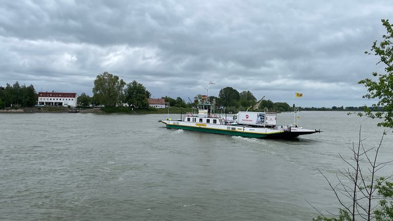 Die Rheinfähre ist schon seit vielen Jahren zwischen Nierstein und Kornsand unterwegs. (Foto: SWR, Sarina Fischer)