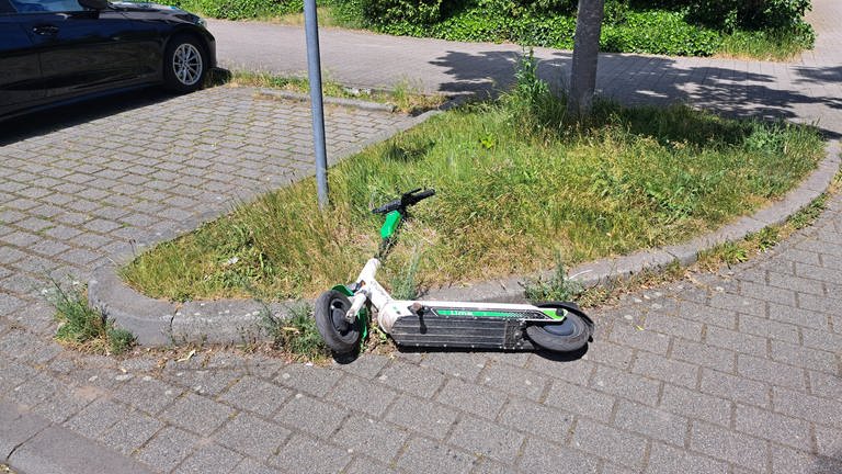 Ein E-Scooter liegt in Mainz auf einer Baumscheibe (Foto: SWR, Marco Schüler)