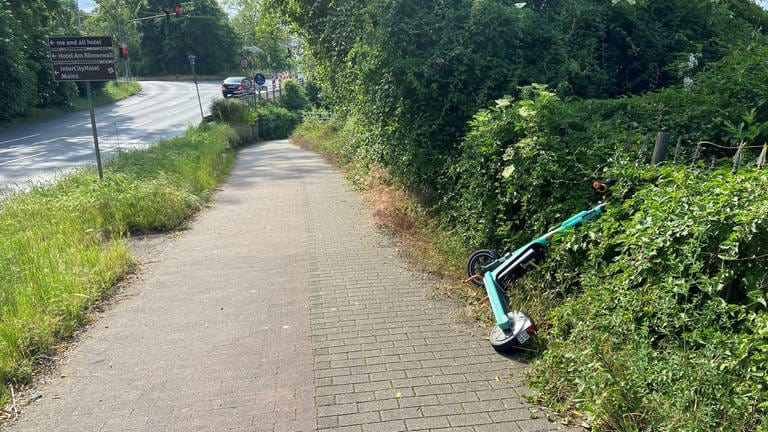 Dieser E-Scooter wurde in Mainz in ein Gebüsch an einem Gehweg geworfen. (Foto: SWR, Damaris Diener)