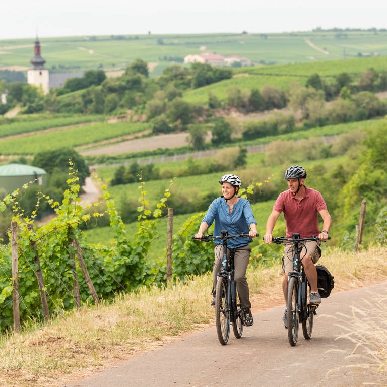 Zwei Radfahrer sind in den rheinhessischen Weinbergen unterwegs. (Foto: Rheinhessen Touristik)