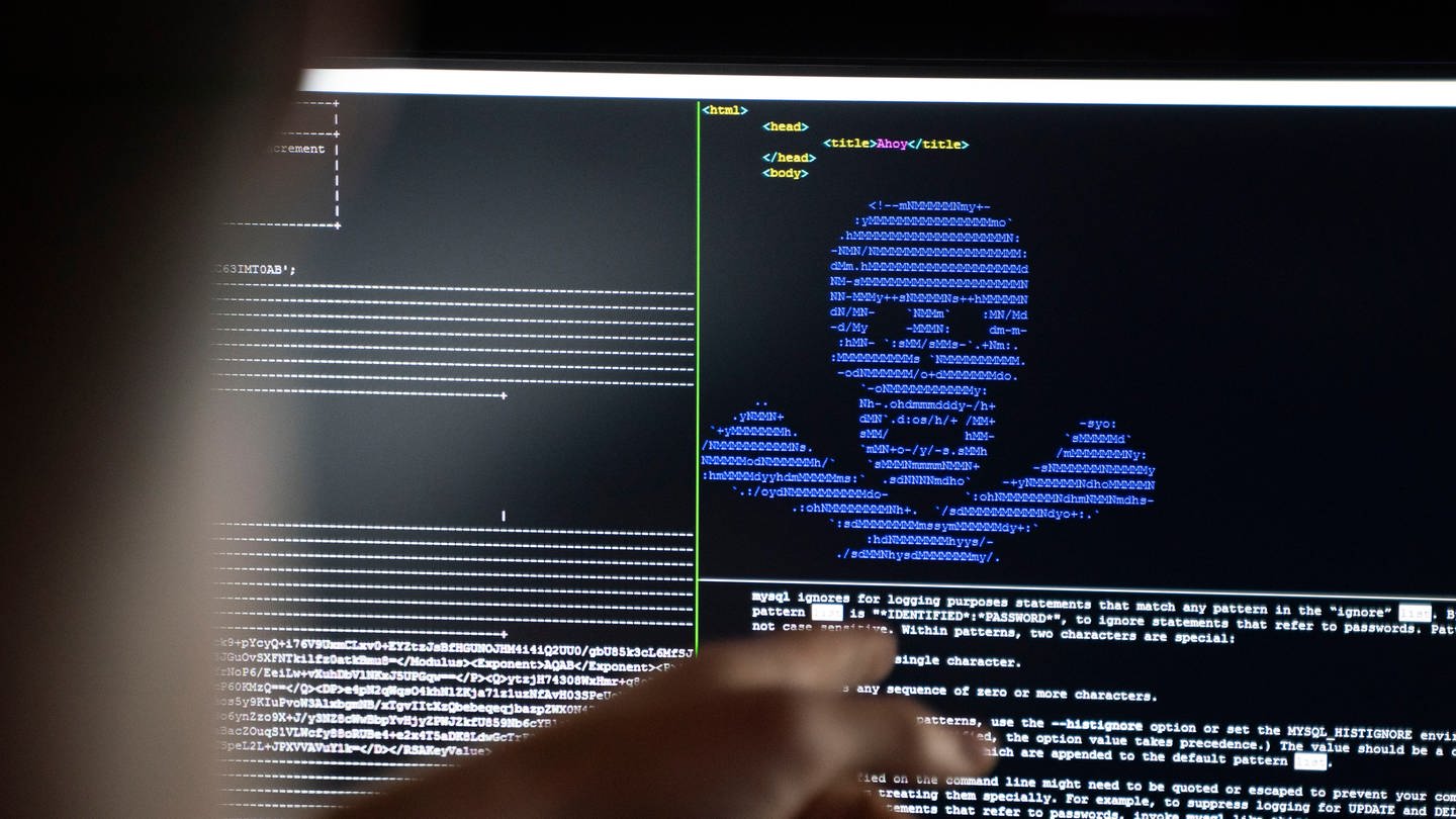 Auf dem Cyperkongress in Ingelheim informieren sich Unternehmen, wie sie sich gegen Hacker-Angriffe wehren können. (Foto: dpa Bildfunk, picture alliance/dpa | Frank Rumpenhorst)