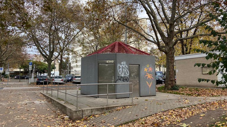 Ein Toilettenhäuschen in der Mainzer Neustadt. Alle öffentlichen Klos sollen neu gebaut werden.  (Foto: SWR, F.Warken)