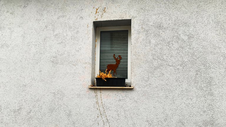 An Fenster und Hauswand haben Unbekannte Ketchup gesprüht. (Foto: anonym)