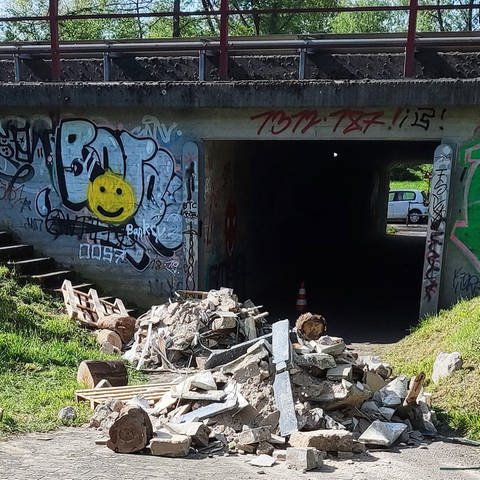 Bauschutt in Mainz-Laubenheim: Der Müll wurde illegal Müll abgeladen (Foto: Stadtverwaltung Mainz)