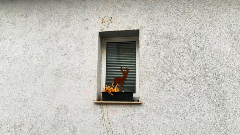 Spuren von Eierwürfen an einer Hauswand: Die Jugendbande, die dafür und für Überfälle wohl verantwortlich war, ist  in Bodenheim geschnappt worden (Foto: anonym)