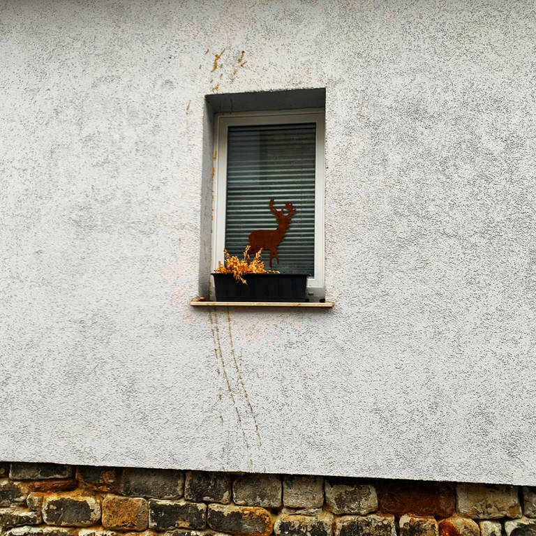 Spuren von Eierwürfen an einer Hauswand: Die Jugendbande, die dafür und für Überfälle wohl verantwortlich war, ist  in Bodenheim geschnappt worden (Foto: anonym)