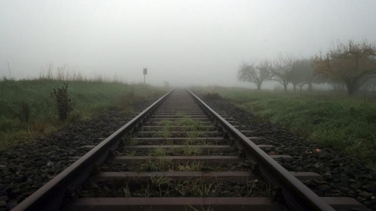 Bei Dienheim erfasste ein Zug einen 23-Jährigen, der im Nebel auf den Gleisen unterwegs war. Er erlag noch vor Ort seinen schweren Verletzungen.  (Foto: dpa Bildfunk, picture alliance/dpa | Karl-Josef Hildenbrand)