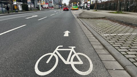 Die Stadt Mainz soll ihre Fahrrad-Piktogramme auf den Straßen entfernen. Doch die Stadt weigert sich.  (Foto: SWR, Olaf Lemcke)