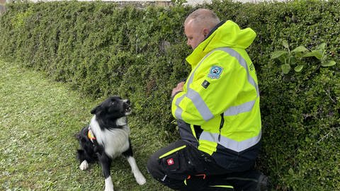 Willi bellt den Vermissten an: Suchhunde Rheinhessen üben für ersten Rettungseinsatz