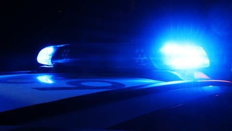 Polizei-Blaulicht bei Nacht (Foto: SWR, Daniel Brusch)