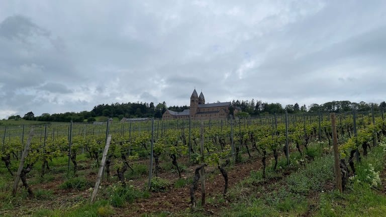 Das Kloster umgeben von Weinbergen: Nonnen der Abtei Sankt Hildegard in Rüdesheim bauen eigenen Wein an