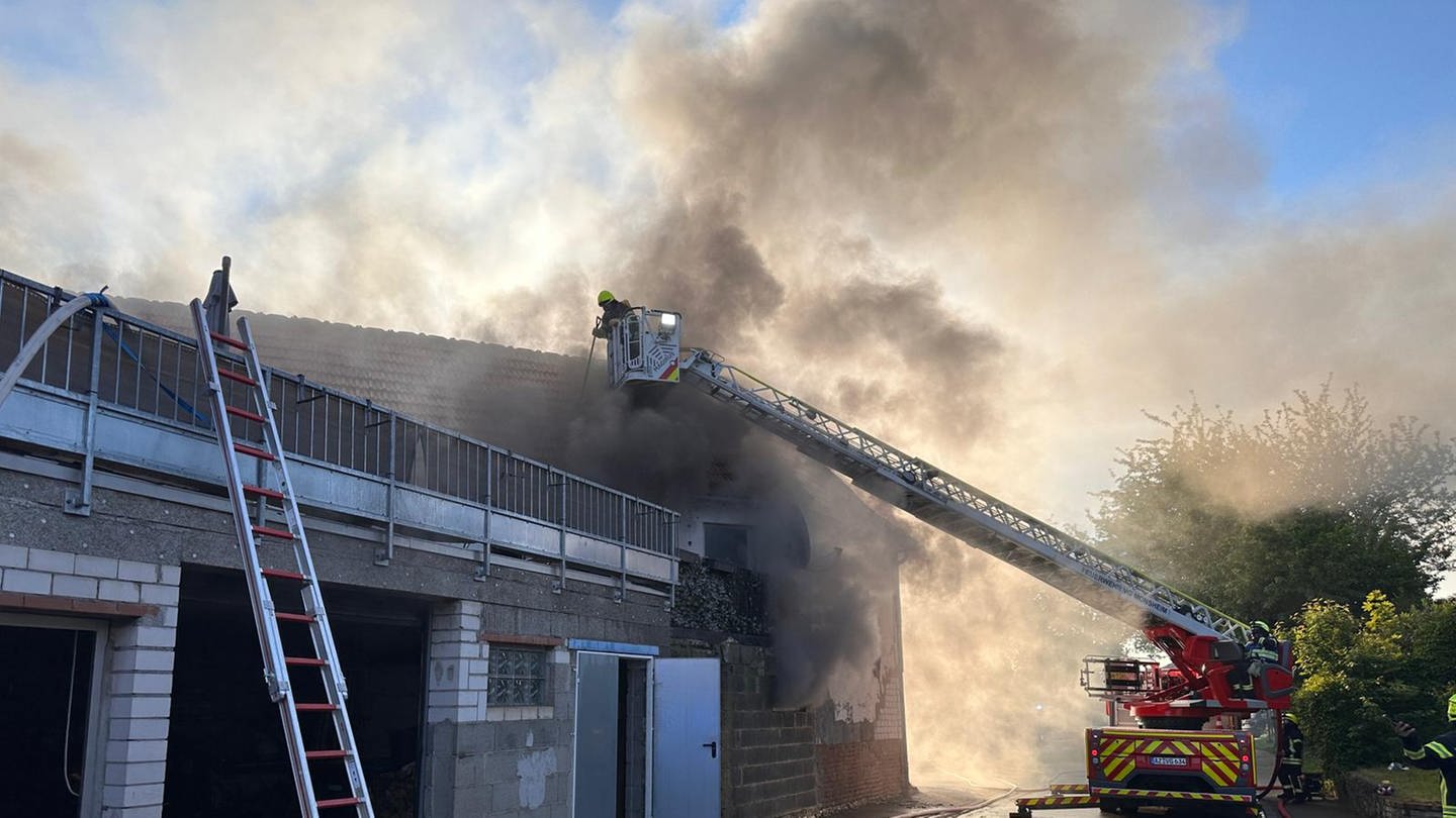 Rauch über dem Haus, ein Feuerwehrmann löscht von der Leiter aus: Brand in Dintesheim: Bewohner retten sich über Balkon (Foto: Pressestelle, Feuerwehr Verbandsgemeinde Alzey-Land)