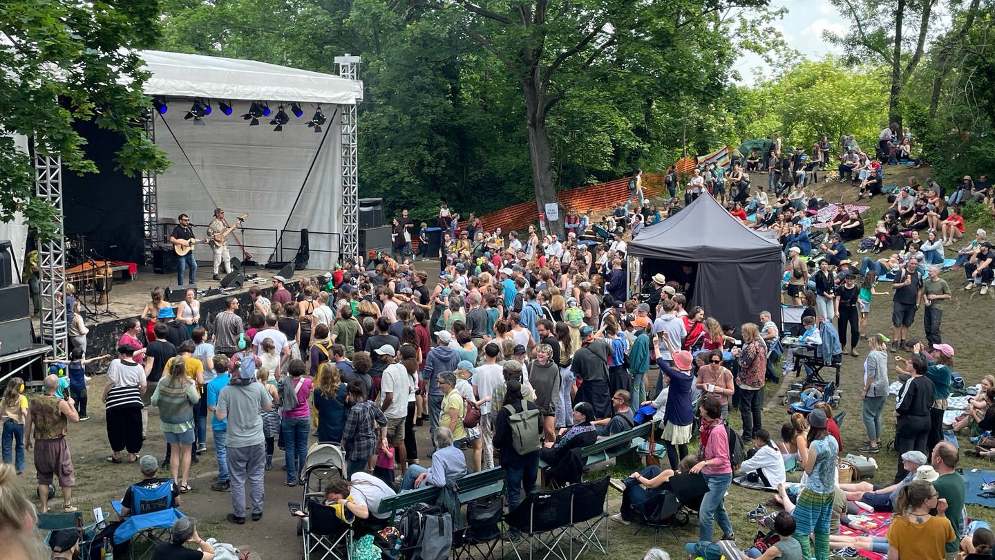 Bis zu 12.000 Besucherinnen und Besucher kamen zum 50. Open Ohr Festival in Mainz. (Foto: SWR)