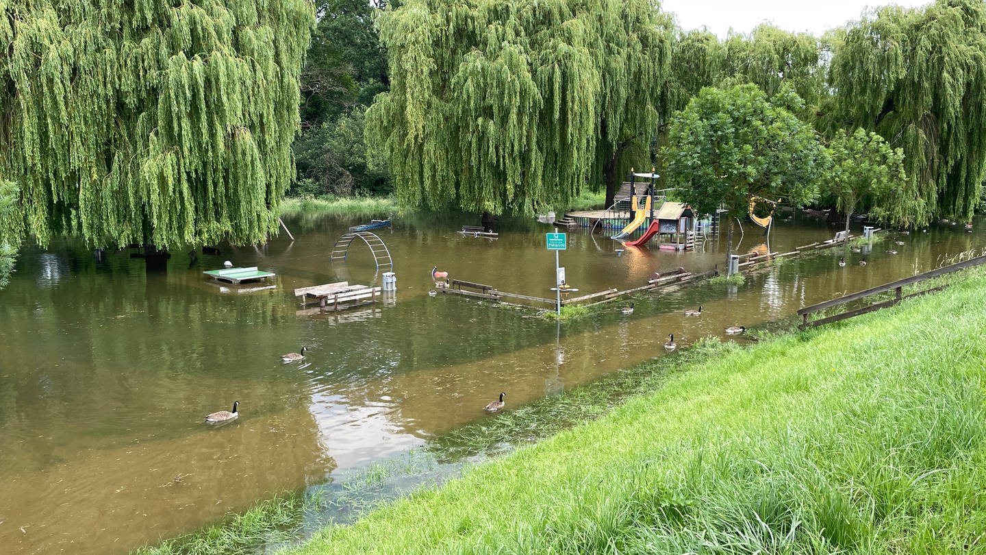 Das Hochwasser lässte den Spielplatz am Rhein bei Ingelheim langsam verschwinden. (Foto: SWR)