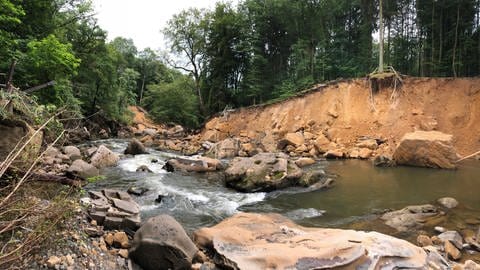 Dort wo das Becken der Prüm eng war, hat das Wasser seine volle Wucht entwickelt. Die Irreler Wasserfälle wurden von der Natur umgestaltet (Foto: SWR, Lara Bousch)