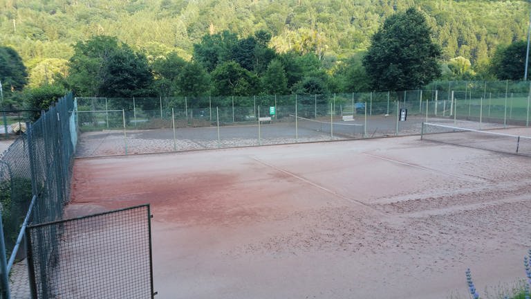 Der Schock über den Zustand der Anlage in Kordel sei groß gewesen, so die Vereinsmitglieder (Foto: Tennisclub Kordel)
