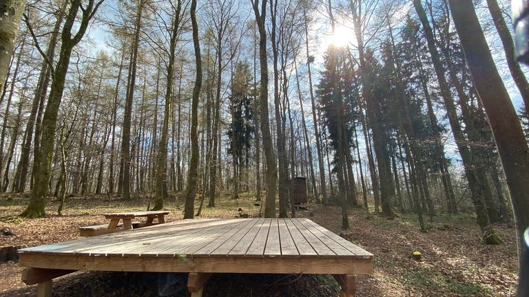 Der Verein Naturpark Nordeifel hat diese und zwei weitere Holzplattformen in der rheinland-pfälzischen Eifel eigens für das Trekking in den Wald bauen lassen. (Foto: SWR, Anna-Carina Blessmann)