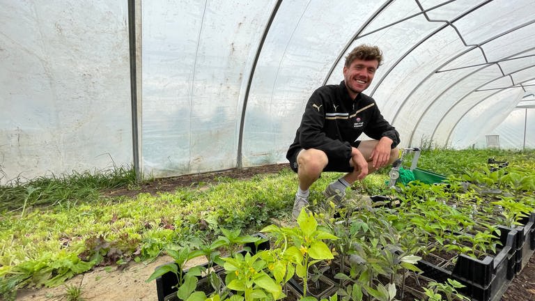 Das Gemüse wächst und gedeiht im "Garten Idem" von Robin Strellen. Er hat kürzlich die ersten Ernteanteile an die Mitglieder der solidarischen Landwirtschaft herausgegeben.  (Foto: SWR)