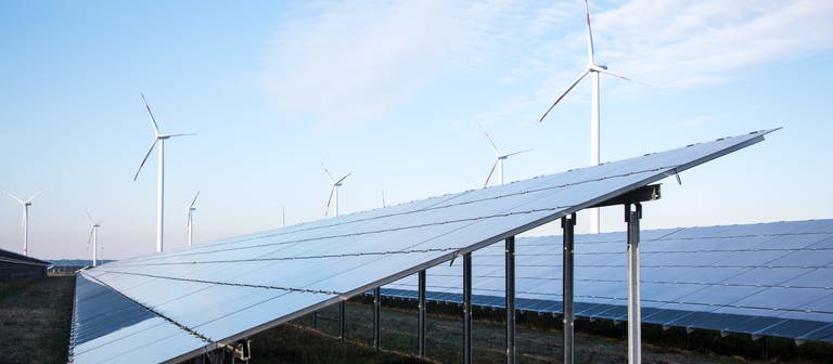 Blick auf einen Solarpark, im Hintergrund sind Windräder zu sehen. (Foto: dpa Bildfunk, Daniel Bockwoldt)