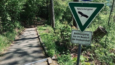 Weil das Gemündener Maar in der Vulkaneifel Naturschutzgebiet ist, soll es mehr Kontrollen gegen Wildschwimmer geben. (Foto: SWR, Anna-Carina Blessmann)