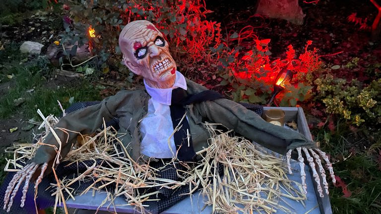 Die Familie lässt sich für ihren Garten zu Halloween von Horrorfilmen inspirieren (Foto: SWR)