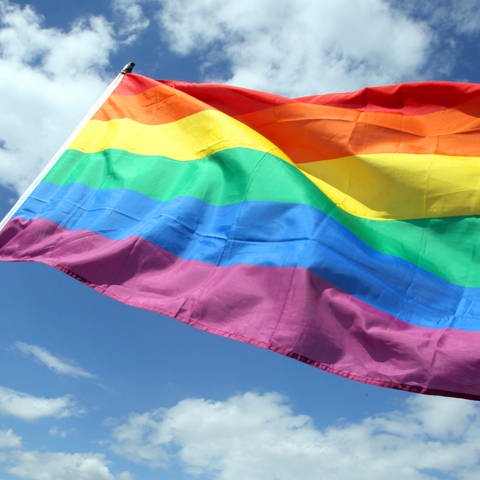 Eine Regenbogenflagge (Foto: picture-alliance / Reportdienste, Wolfgang Kumm)