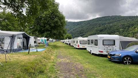 Gute Auslastung auf dem Campingplatz in Traben-Trarbach. (Foto: SWR, Sebastian Grauer)
