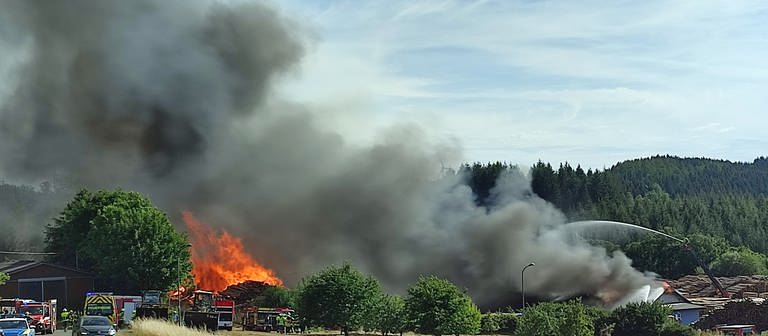 Großbrand in Sägewerk in Hermeskeil (Foto: Steil TV)