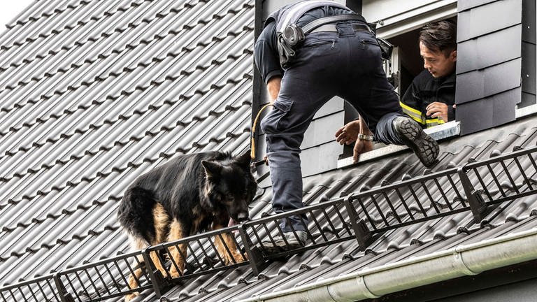 Feuerwehrmänner retten Hund von Dach in Idar-Oberstein (Foto: Foto Hosser )