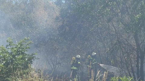 Mehrfach musste die Feuerwehr in den vergangenen Wochen ausrücken, weil es rund um Reinsfeld brannte. (Foto: Steil TV)