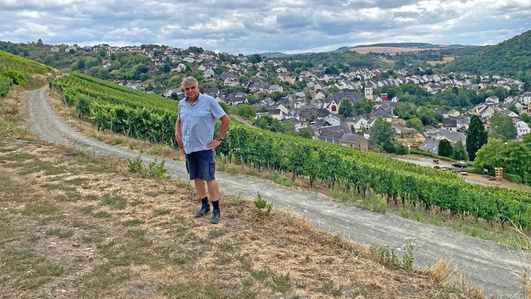 "Der Weinbau im Ruwertal profitiert vom Klimawandel", sagt der Ortsbürgermeister von Waldrach, Rainer Krämer (Foto: SWR)
