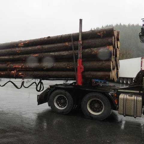 Der überladener Holztransporter wurde auf der B51 bei Olzheim im Kreis Bitburg-Prüm gestoppt. Er hatte 15,5 Tonnen Holz zuviel auf der Ladefläche.  (Foto: SWR, Polizei Trier)
